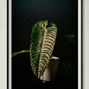 Personalized Plant Art Puzzle