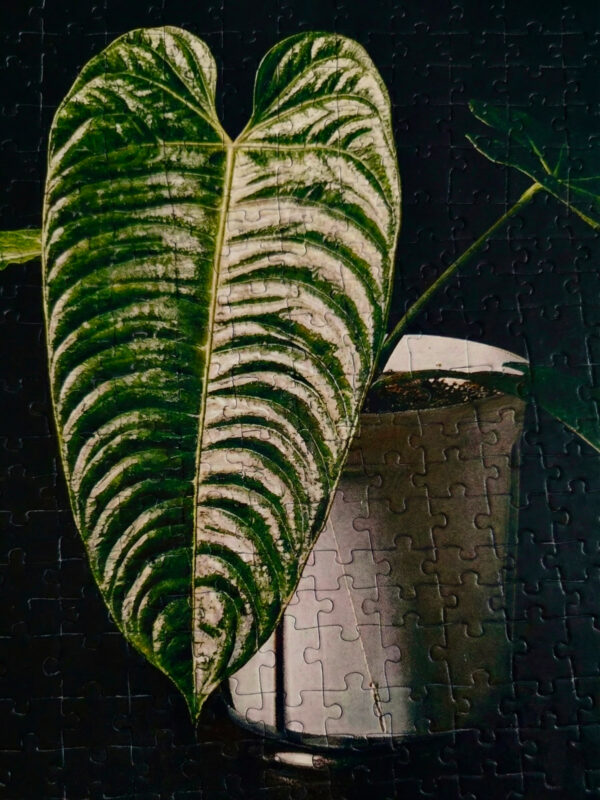 Personalized Plant Art Puzzle - Image 2